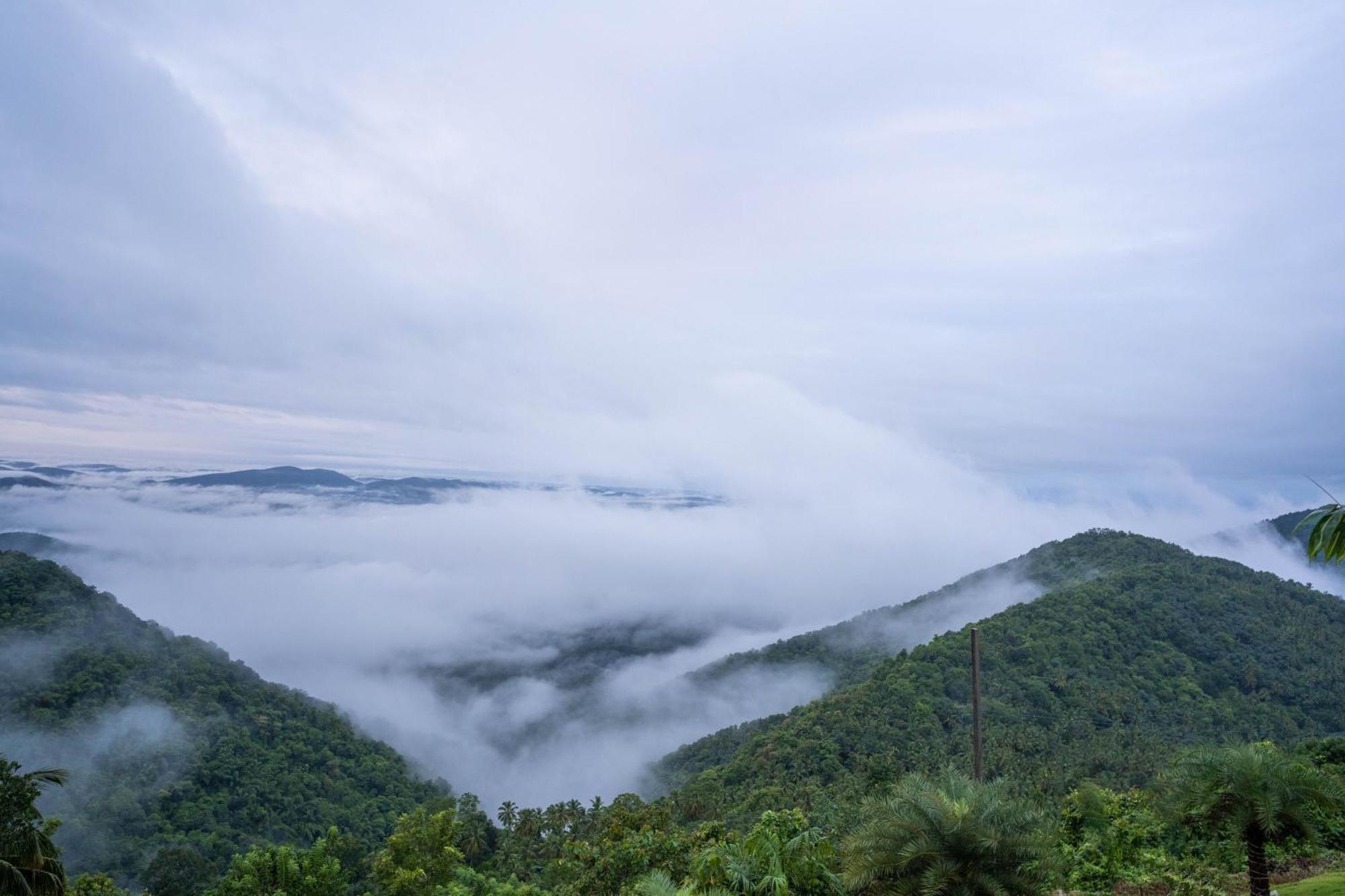 Mount Stratus Resort Vayalada Balussery Dış mekan fotoğraf